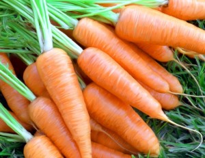 морковь свежая