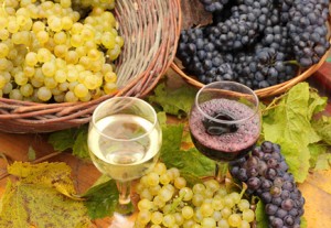 виноградное вино